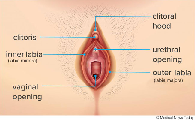 Clitorus Pain